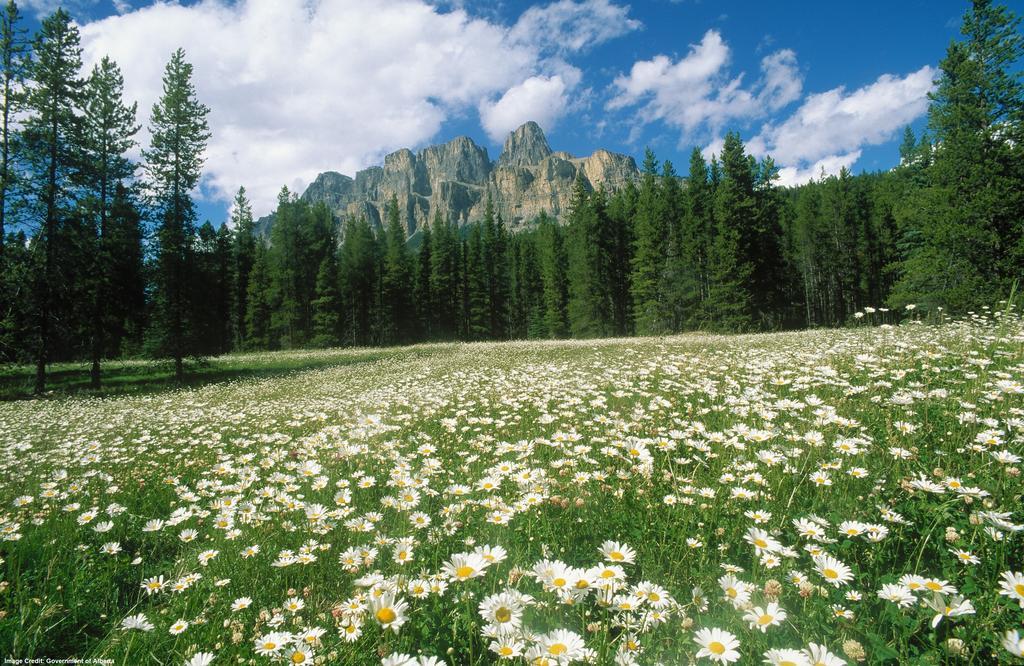 Hi Castle Mountain - Hostel Bagian luar foto
